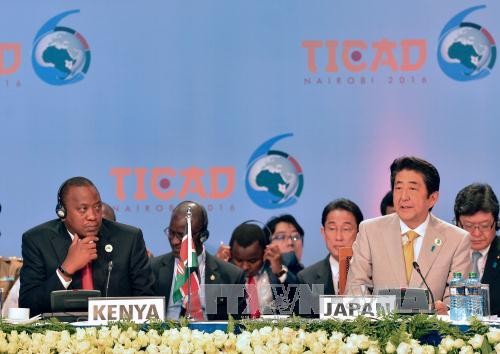 Japan, Africa commit to fighting terrorism  - ảnh 1